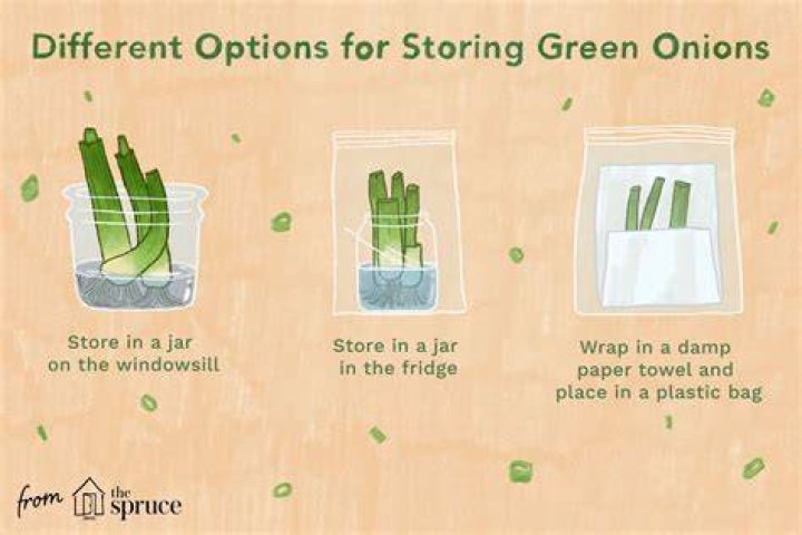 How To Store Green Onion