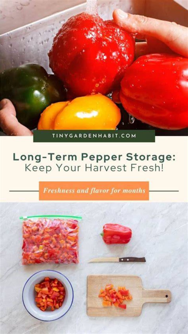 How to store peppers - How To Discuss