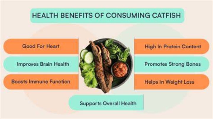 Is Catfish Good For Gout