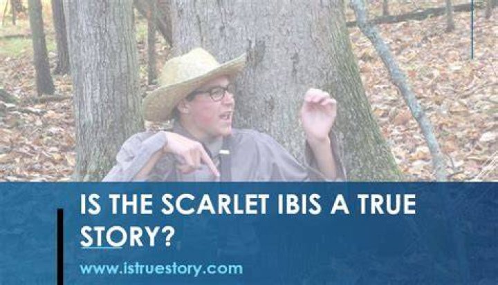 Is The Scarlet Ibis A True Story