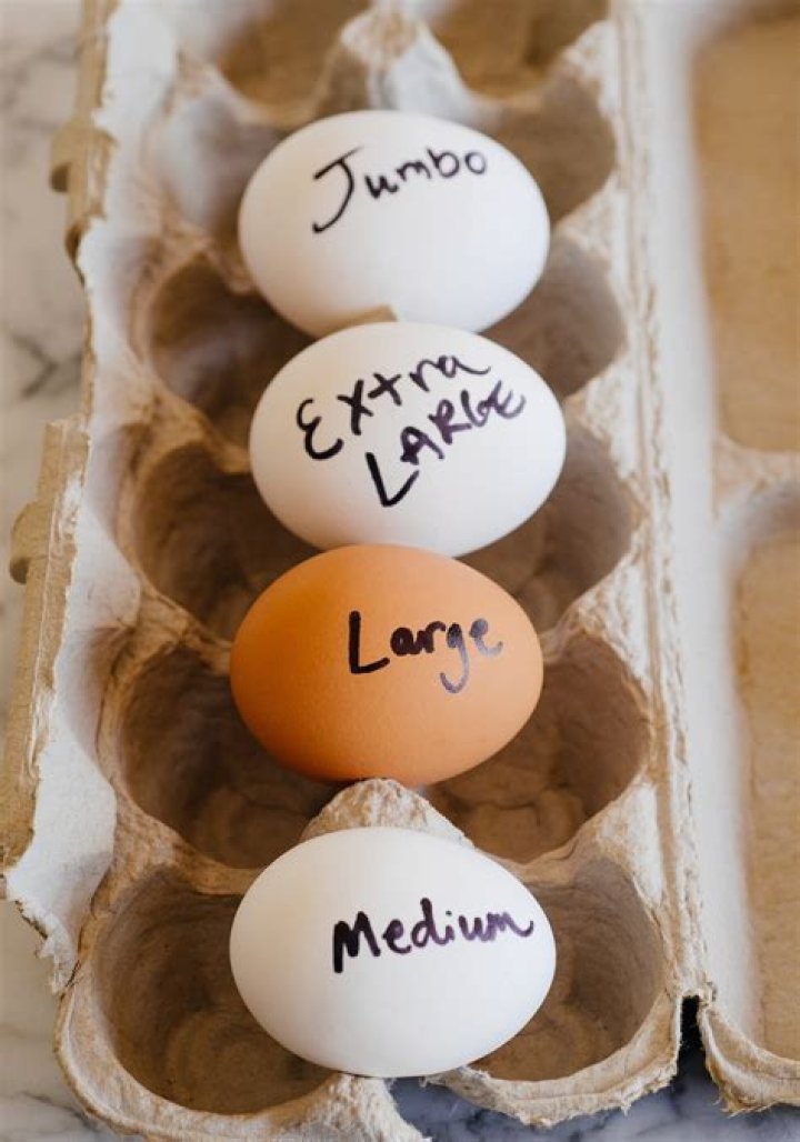 Jumbo eggs - How To Discuss
