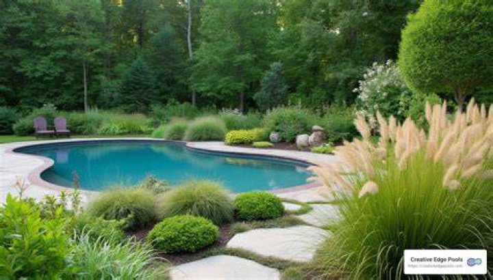 Landscaping ideas around pool - How To Discuss