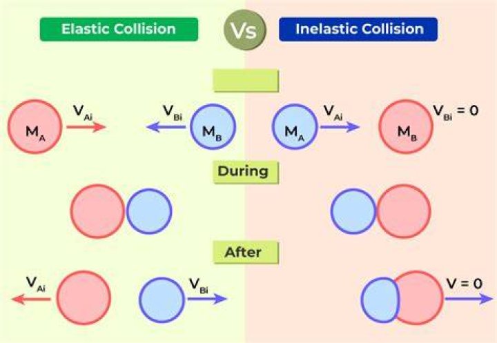 Livestock Collision - How To Discuss