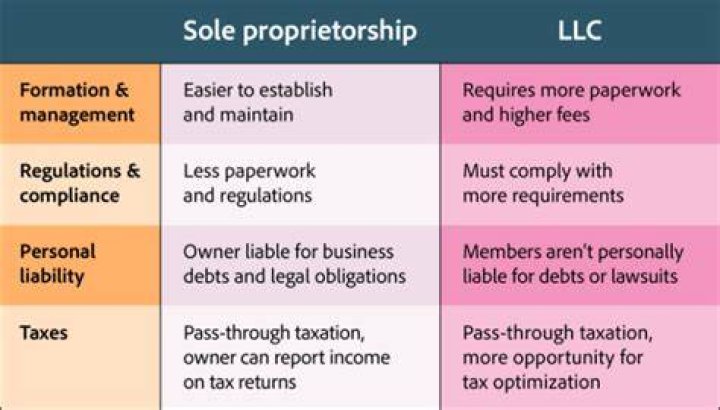 Llc or sole proprietorship - How To Discuss