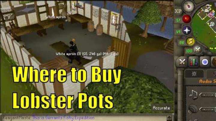 Lobster Osrs - How To Discuss