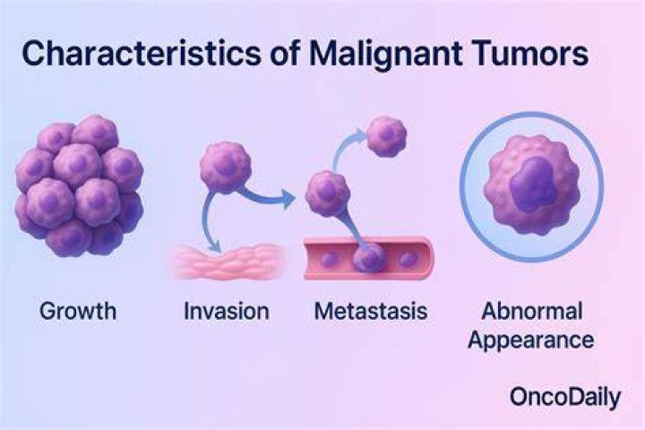 Malignant - How To Discuss