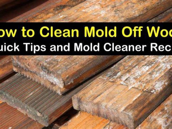 Mold on wood - How To Discuss