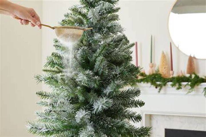 Mountain King Christmas Tree - How To Discuss