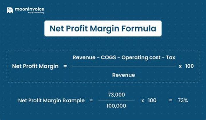 Net Profit Margin - How To Discuss