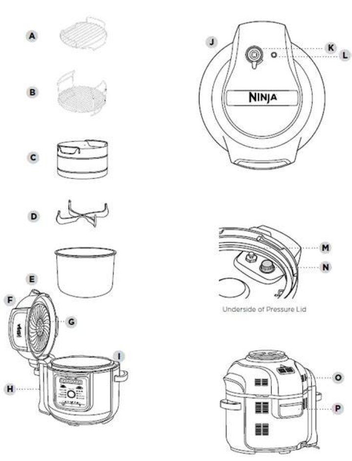Ninja multi cooker - How To Discuss