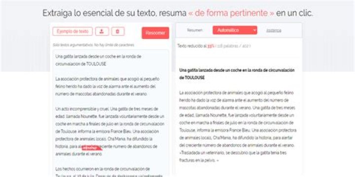 Pagina Para Resumir Textos - How To Discuss