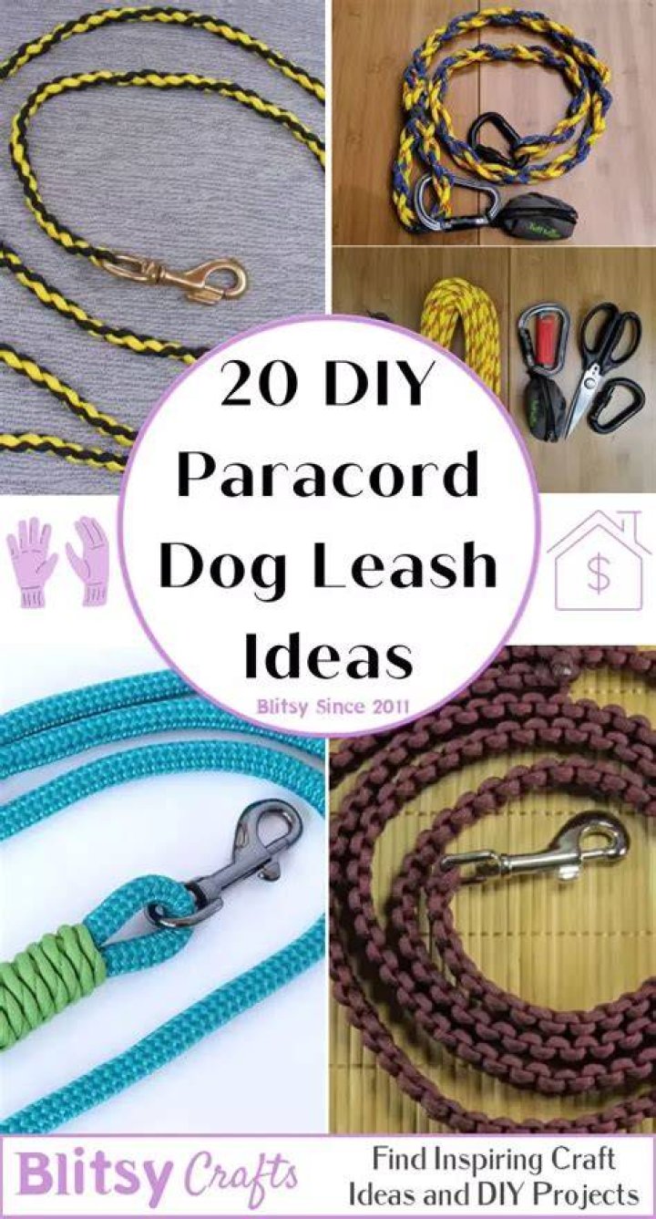 Paracord dog leash - How To Discuss