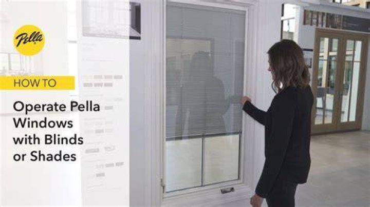 Pella Windows With Blinds - How To Discuss