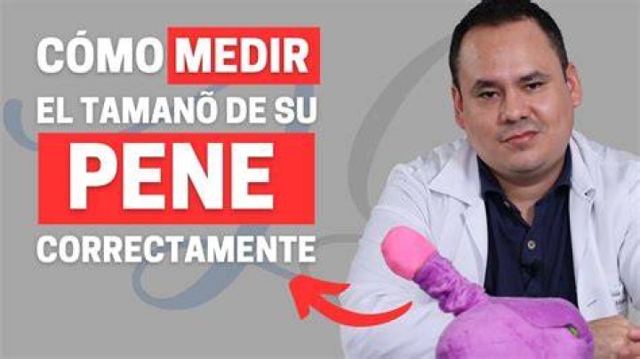 Pene De 17 Cm - How To Discuss