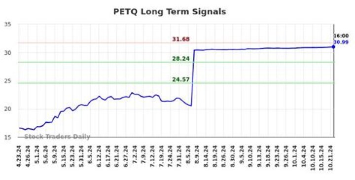 Petq stock - How To Discuss