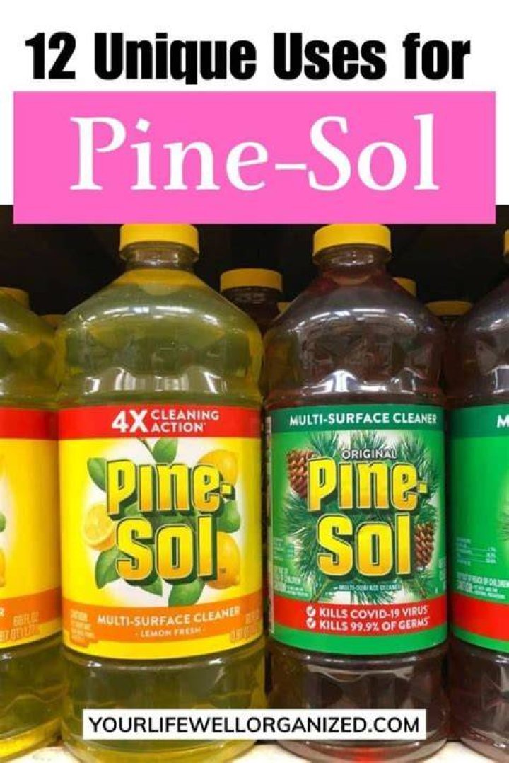 Pine sol uses - How To Discuss