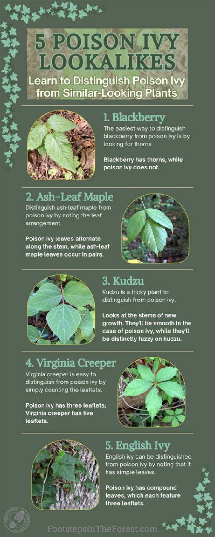 Poison ivy look alike - How To Discuss