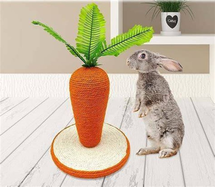 Rabbit Scratching Post - How To Discuss