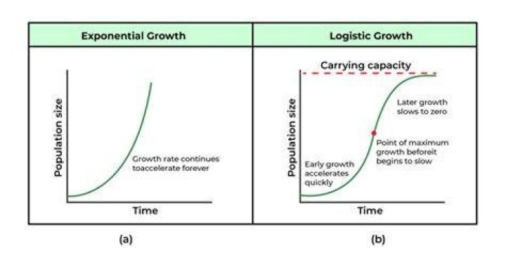 Rate of natural increase/decrease - How To Discuss