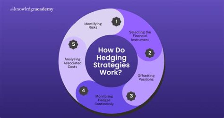 Reinsurance/hedging Strategy Optimization - How To Discuss