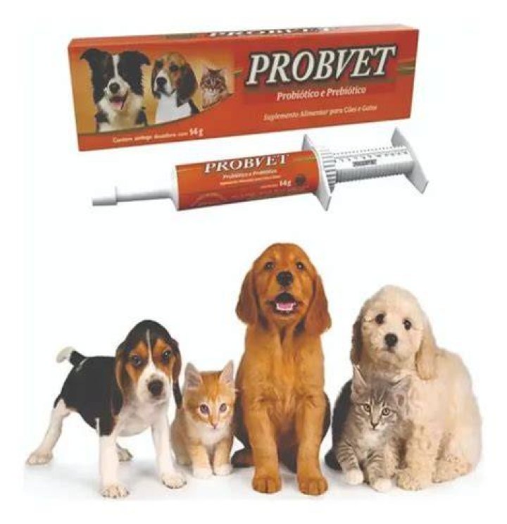Remedio Para Abrir Apetite De Cachorro