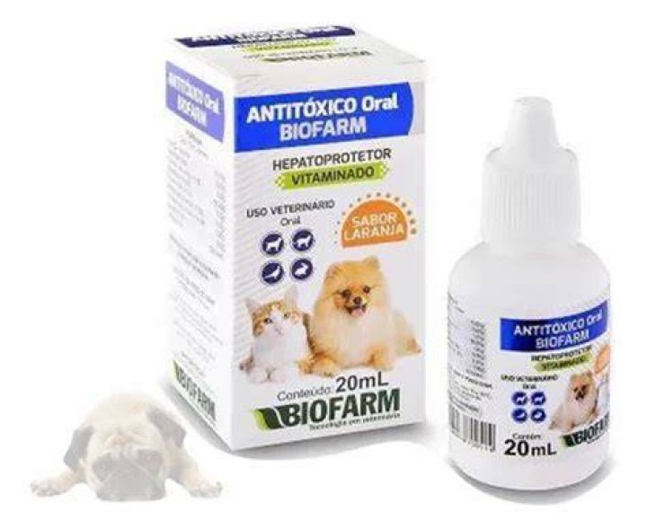 Remedio Para Cachorro Vomitando - How To Discuss