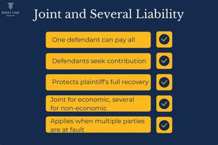 Several liability - How To Discuss