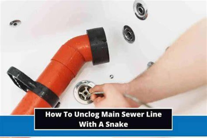 Sewer snake - How To Discuss
