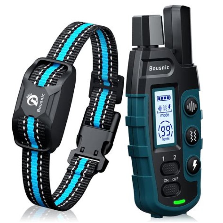 Shock Collar For Kids - How To Discuss