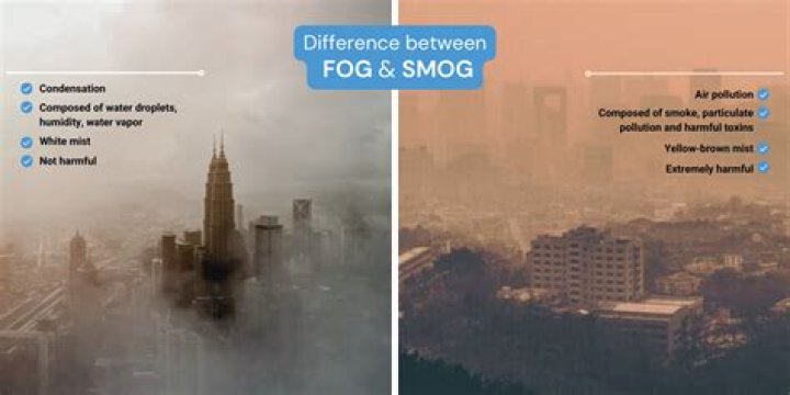 Smog - How To Discuss