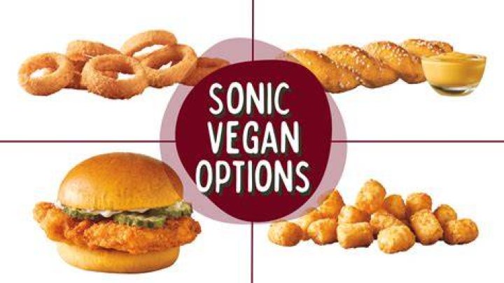 Sonic Vegan Options - How To Discuss