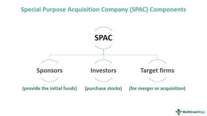 Special Purpose Acquisition Company (SPAC)