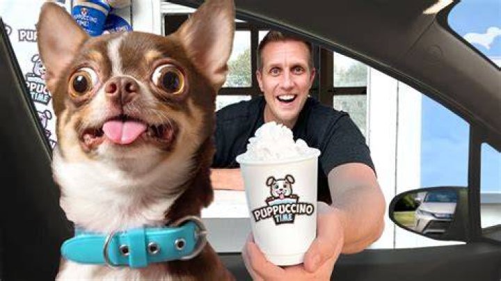Starbucks Puppucino - How To Discuss