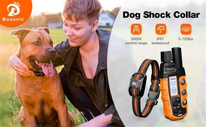 Strongest Dog Shock Collar - How To Discuss