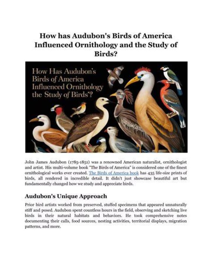 Study of birds - How To Discuss
