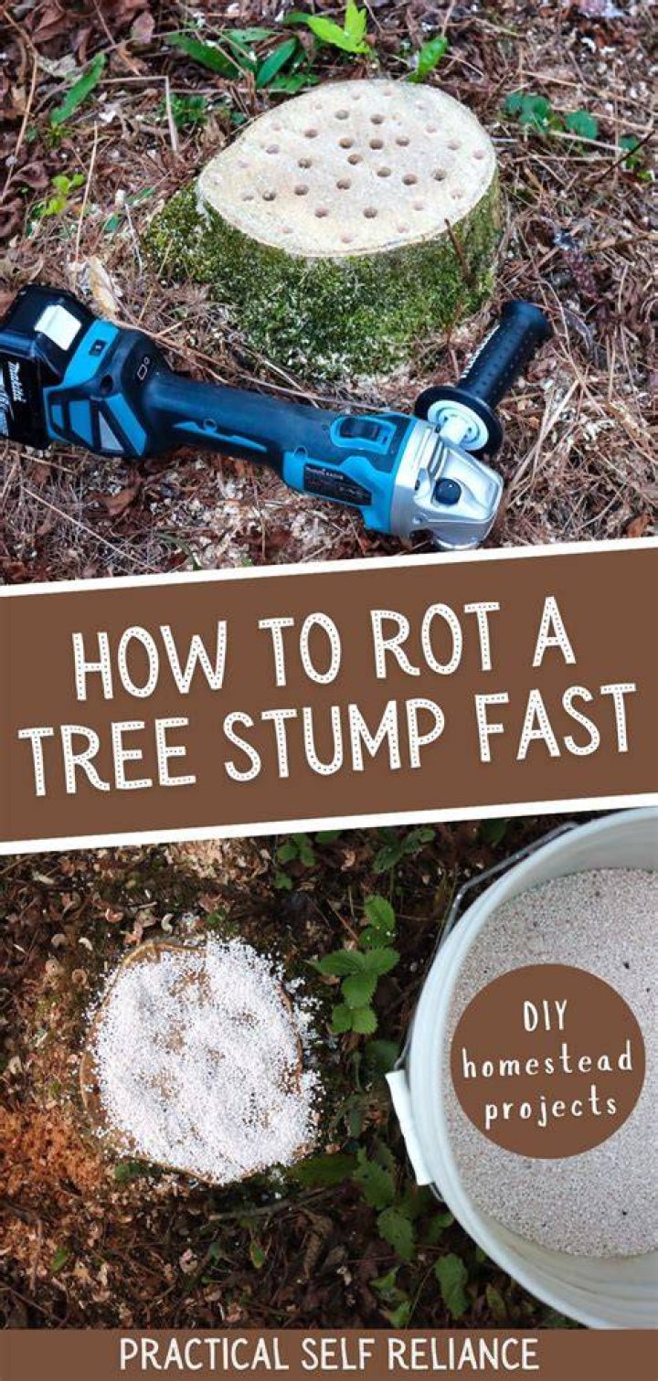 Stump Broke - How To Discuss