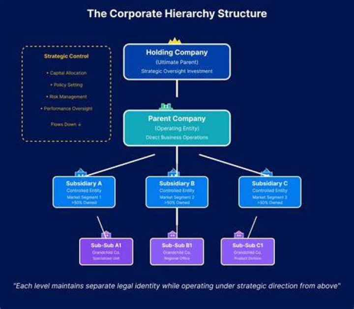 Subsidiary - How To Discuss