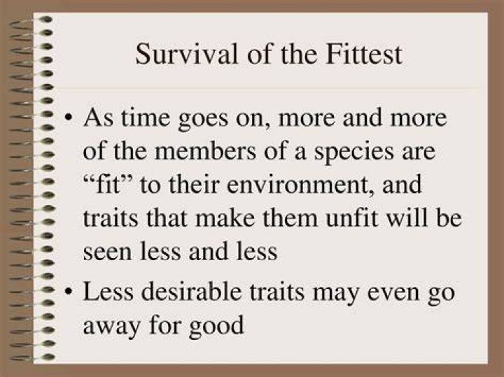 Survival of the fittest - How To Discuss