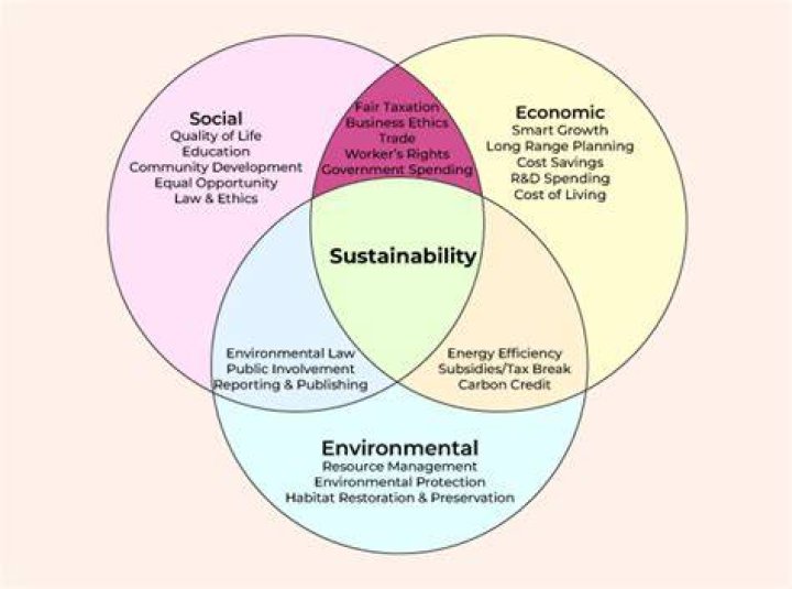 Sustainability Management - How To Discuss