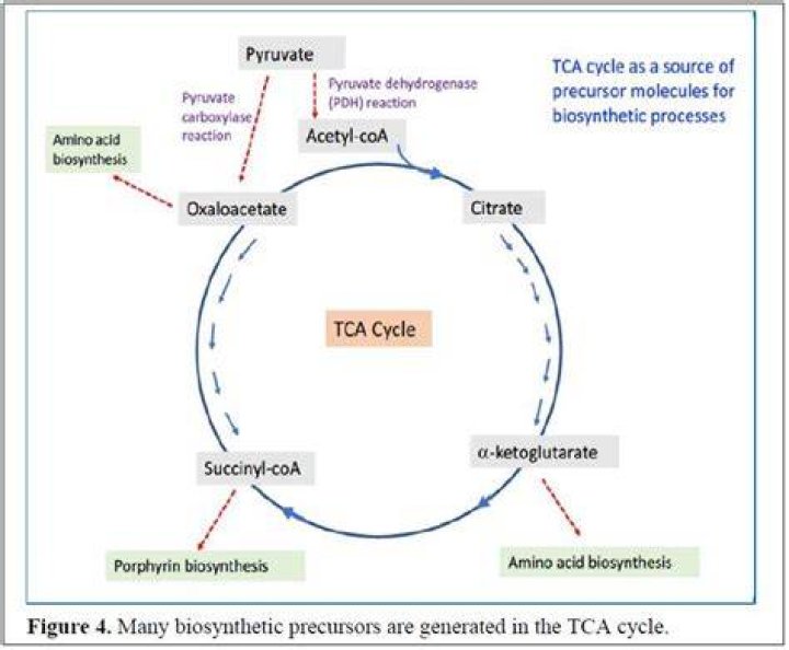 Tca acid - How To Discuss