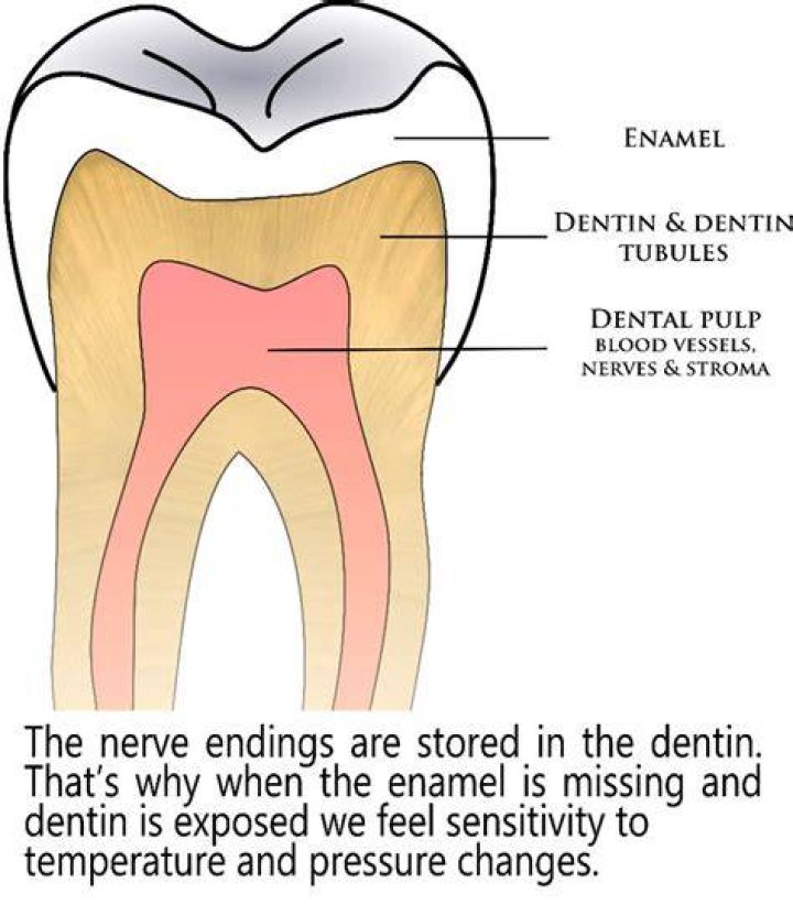 Tooth Hurts When Tapped - How To Discuss