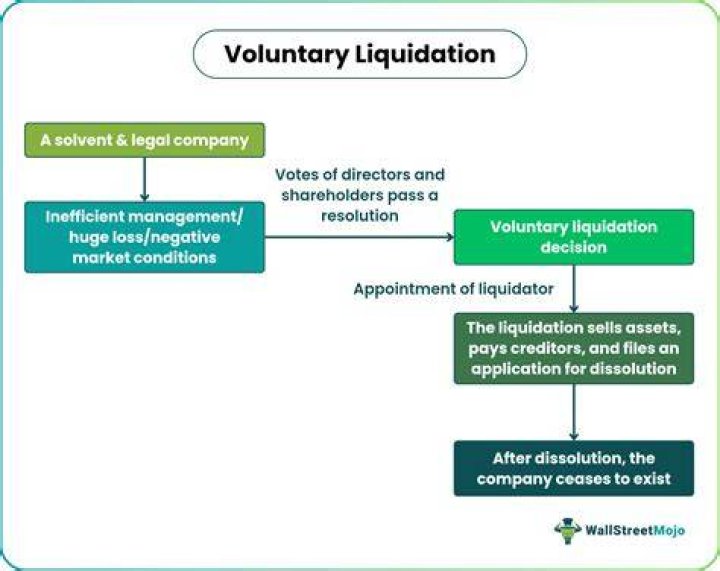 Voluntary Liquidation - How To Discuss