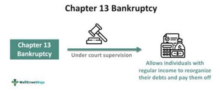 Wage Earner Plan (Chapter 13 Bankruptcy)