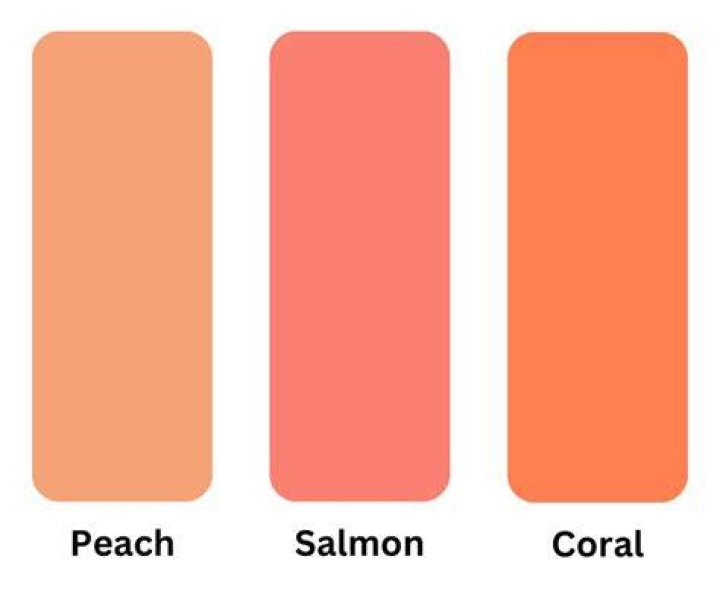 What Color Is Peach - How To Discuss