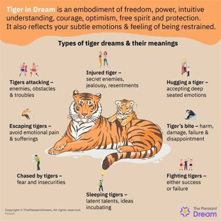 What Do Tigers Dream Of