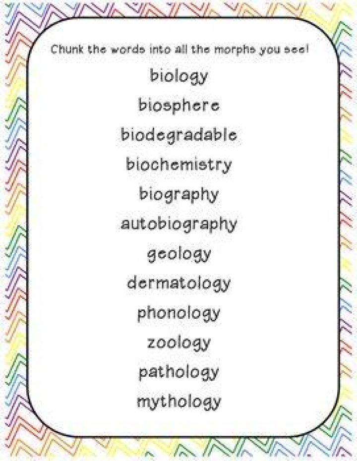 What Does The Root Logy Mean