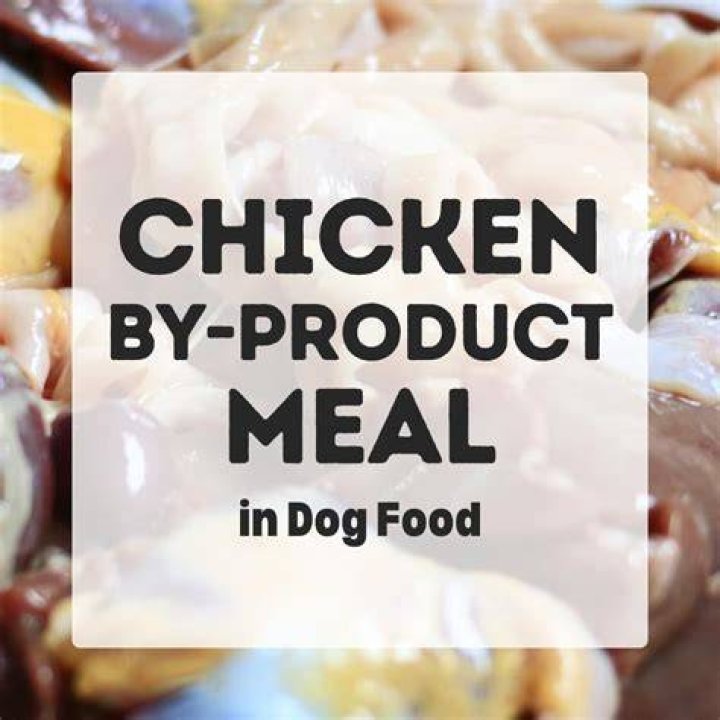 What is a chicken meal in dog food