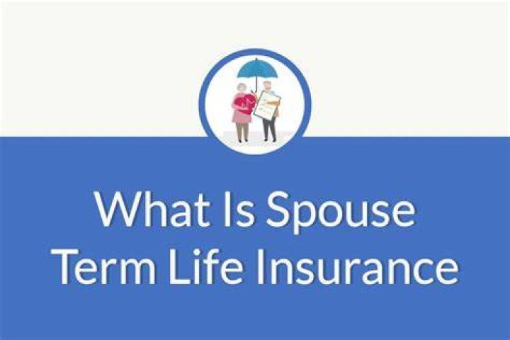 WHAT IS SPOUSE SUPPLEMENTAL LIFE INSURANCE POLICY?