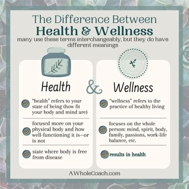 What Is The Difference Between Health And Wellness
