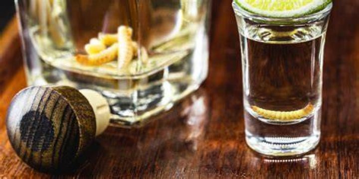 What Tequila Has The Worm In It